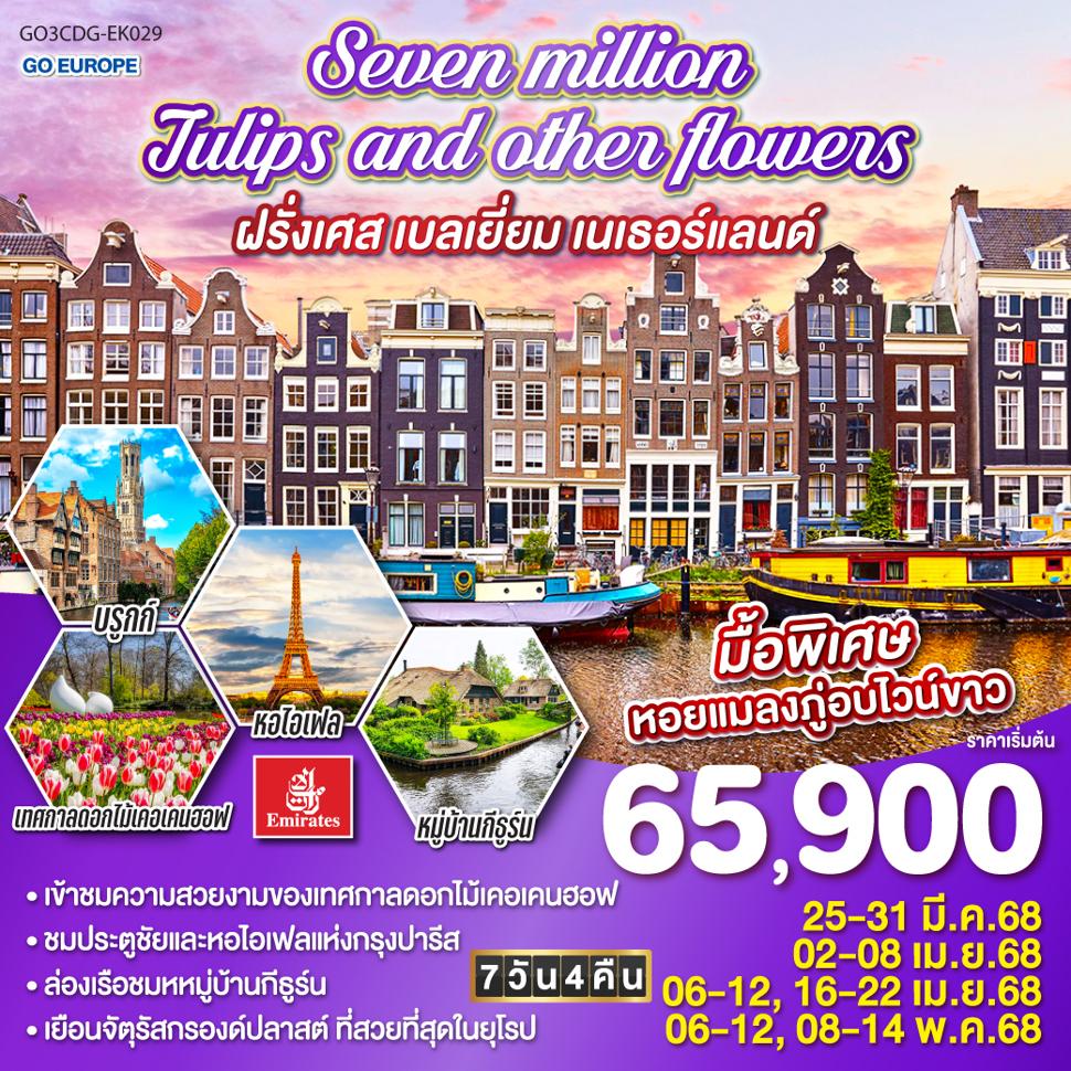 listing tour gallery